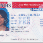 Npi And License Number Lookup Illinois License Renewal Online